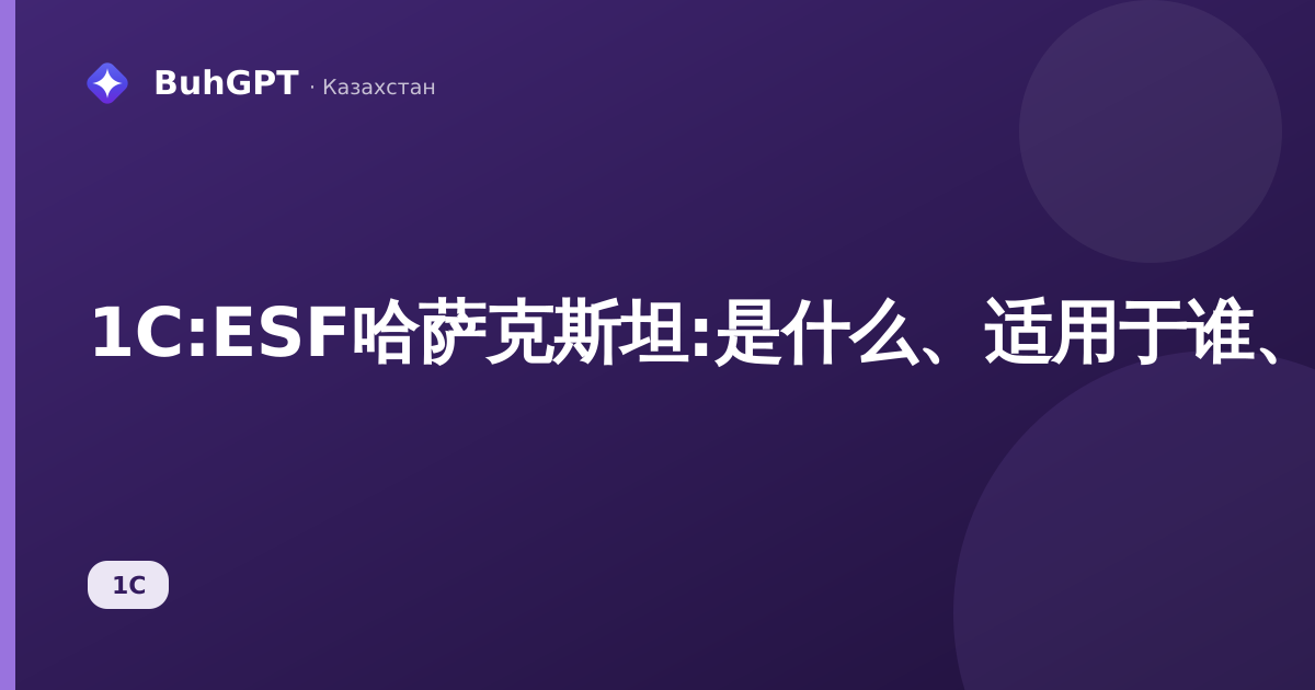 1С:ESF哈萨克斯坦:是什么、适用于谁、有何作用