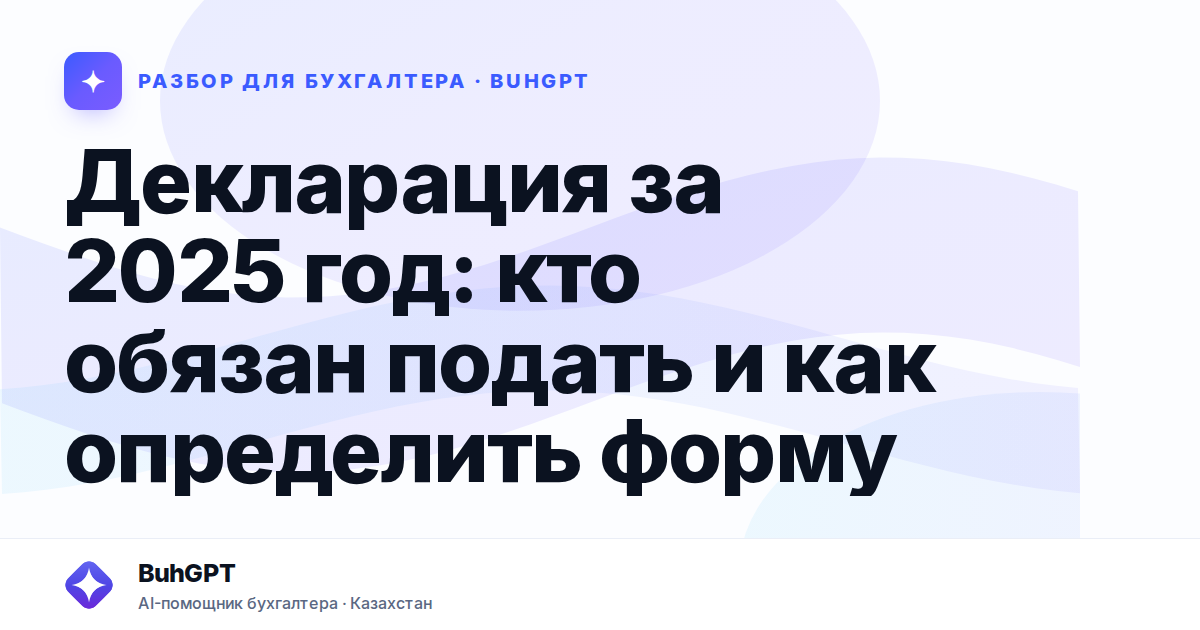 Декларация за 2025 год — Казахстан