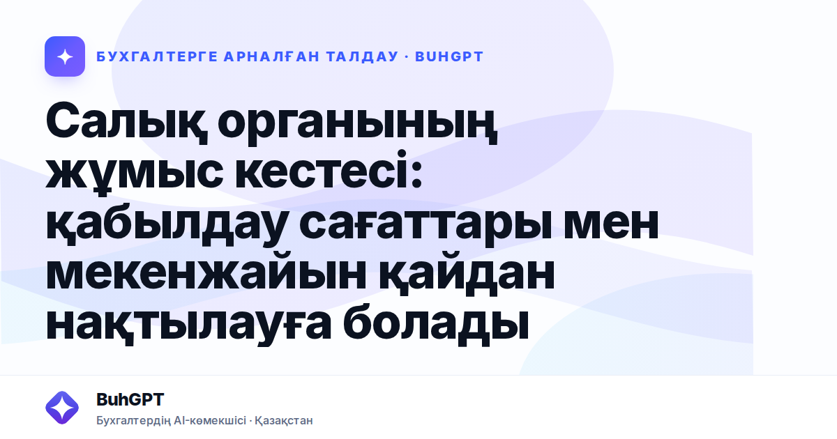 Салық органының жұмыс кестесі: қабылдау сағаттары мен мекенжайын қайдан нақтылауға болады