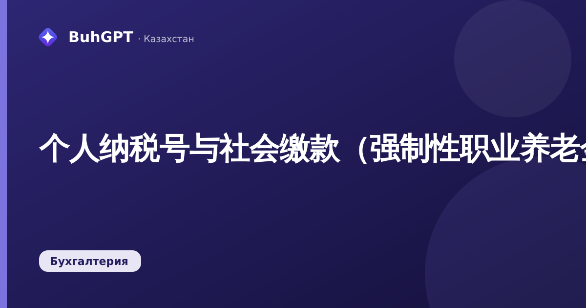 个人纳税号与社会缴款（强制性职业养老金/强制性医疗保险）