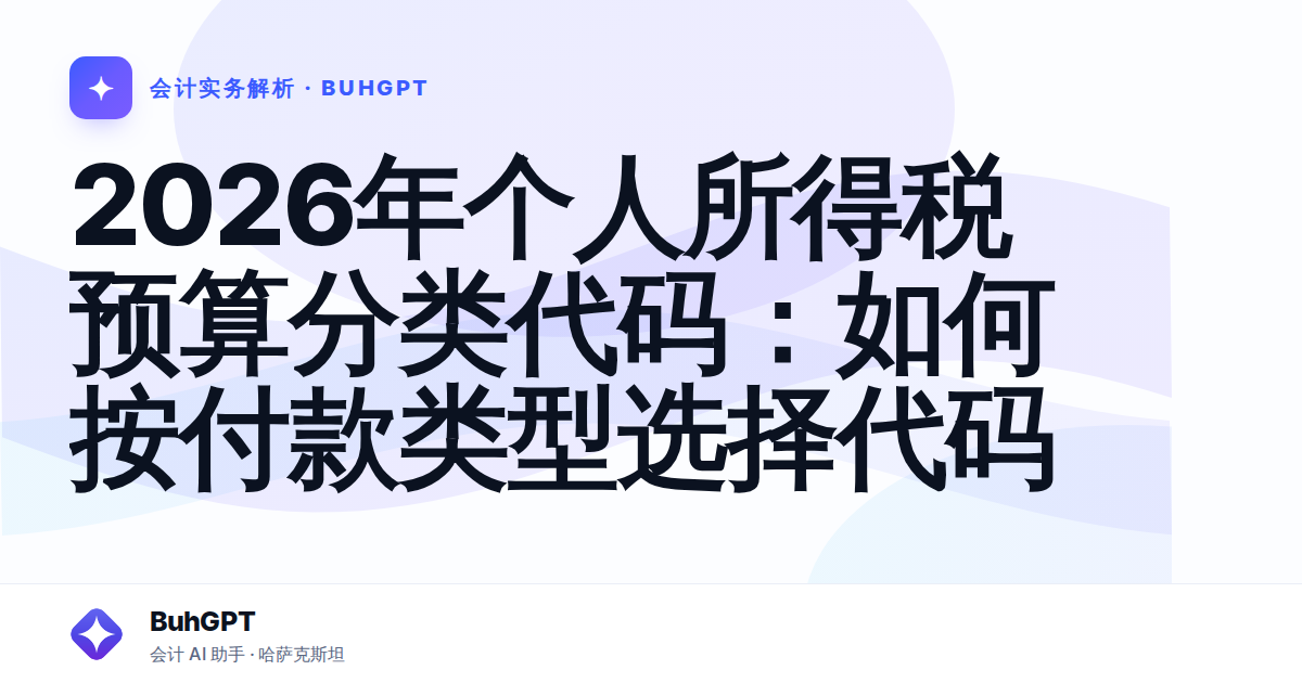 2026年个人所得税预算分类代码：如何按付款类型选择代码
