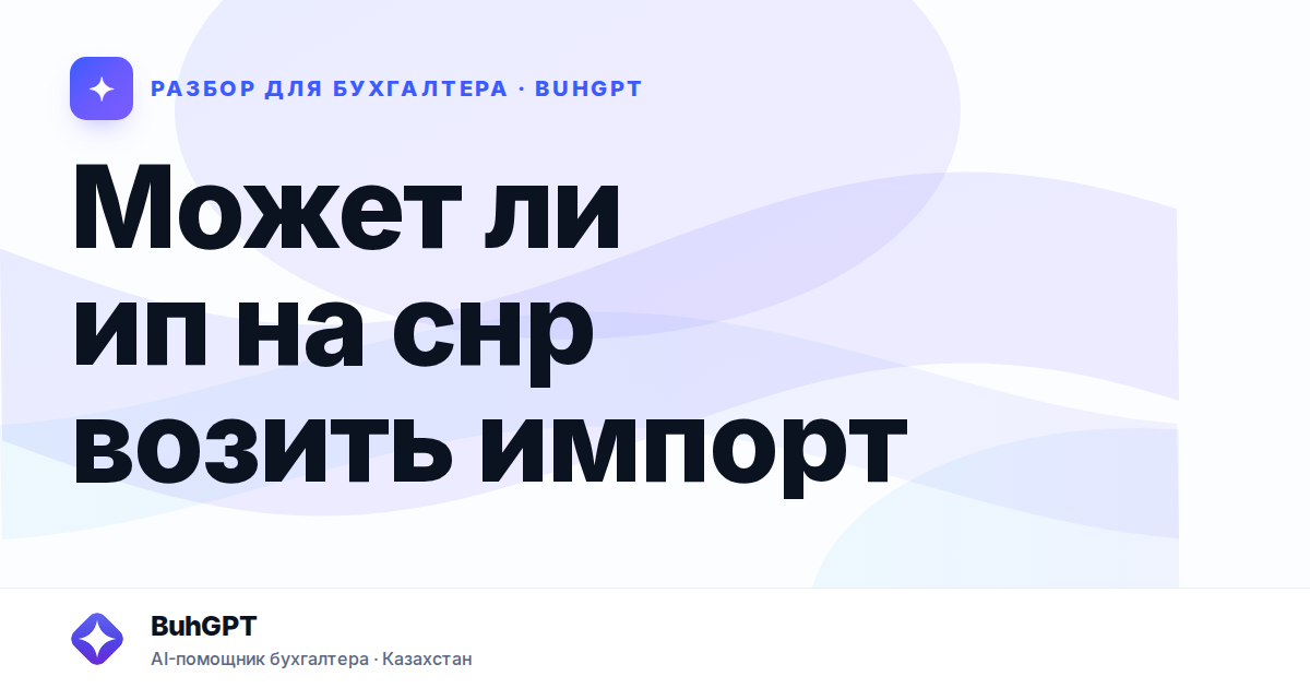 Может ли ип на снр возить импорт — Казахстан