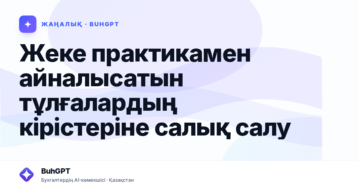 Жеке практикамен айналысатын тұлғалардың кірістеріне салық салу