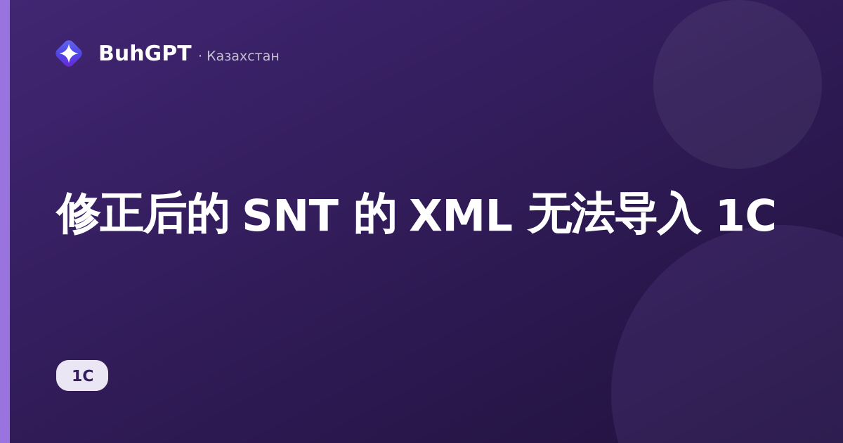 修正后的 SNT 的 XML 无法导入 1С