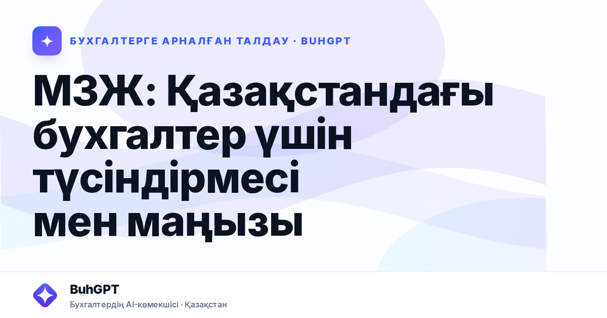 МЗЖ: Қазақстандағы бухгалтер үшін түсіндірмесі мен маңызы