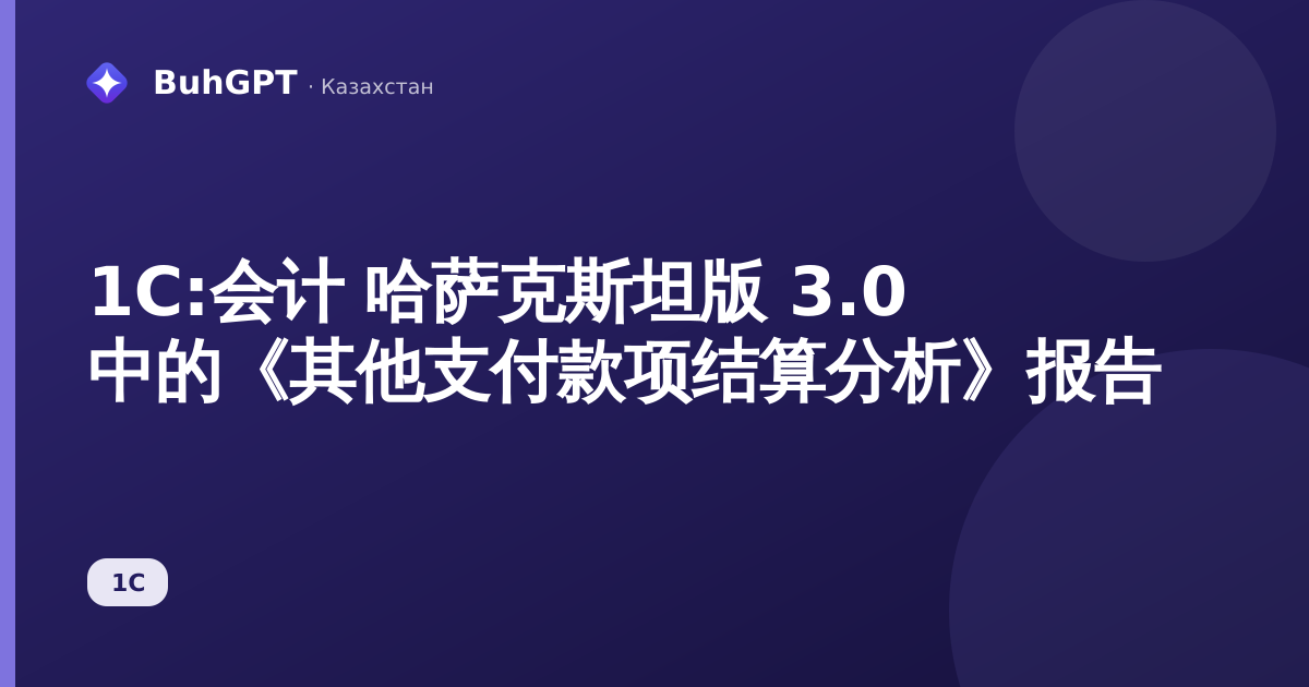 1С:会计 哈萨克斯坦版 3.0 中的《其他支付款项结算分析》报告