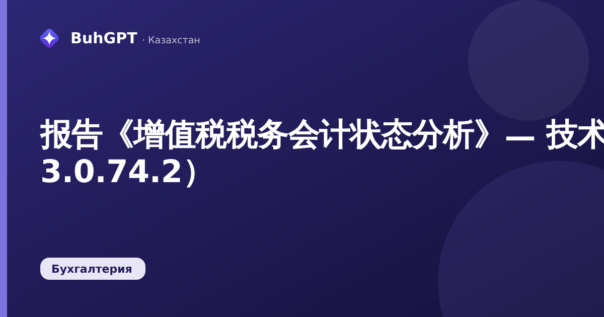 报告《增值税税务会计状态分析》— 技术说明（BK 3.0.74.2）