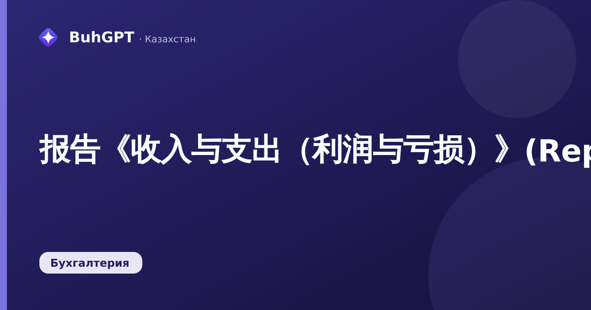 报告《收入与支出（利润与亏损）》(Reports.收入支出)