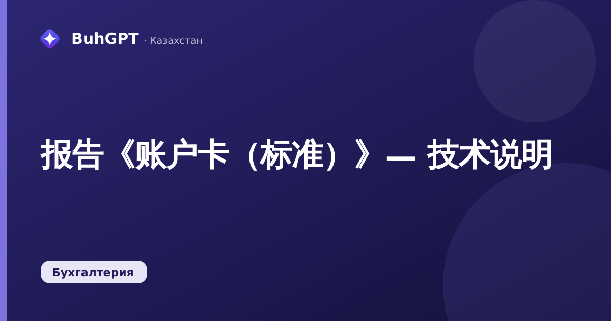 报告《账户卡（标准）》— 技术说明