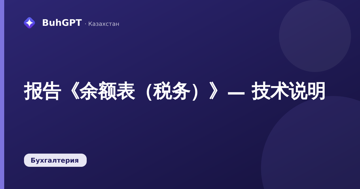 报告《余额表（税务）》— 技术说明
