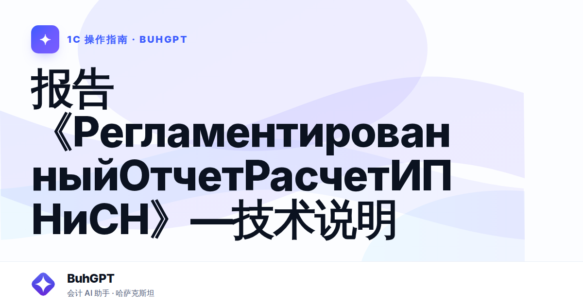 报告《РегламентированныйОтчетРасчетИПНиСН》—技术说明