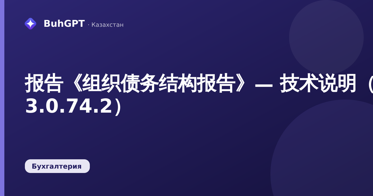 报告《组织债务结构报告》— 技术说明（哈萨克斯坦会计 3.0.74.2）