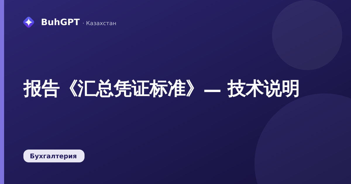 报告《汇总凭证标准》— 技术说明
