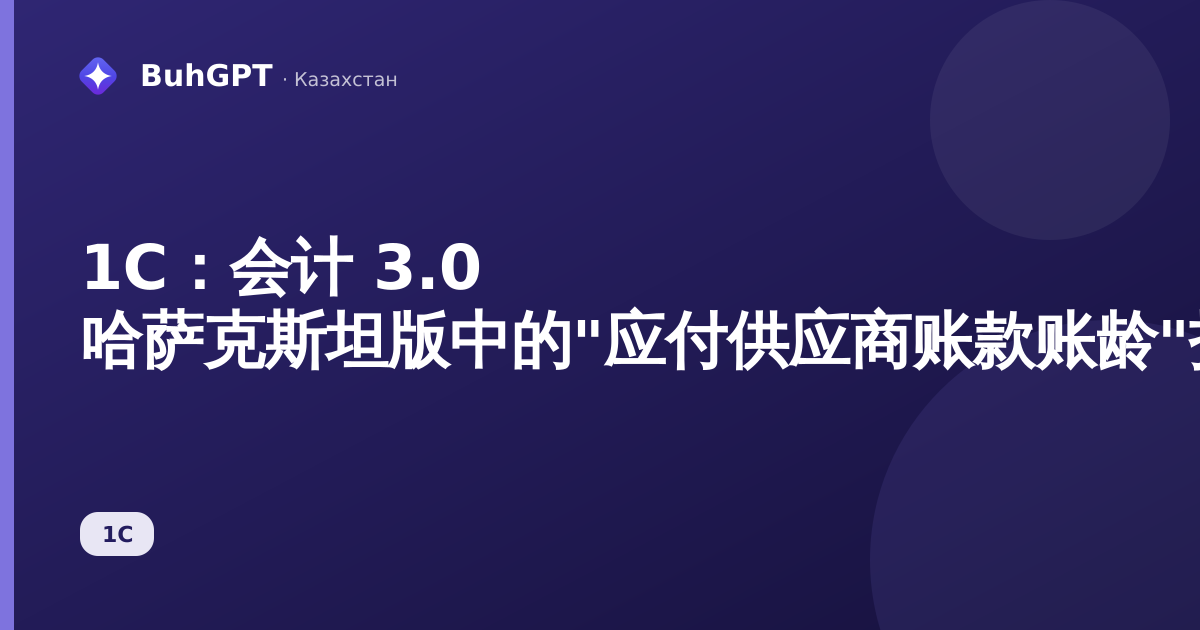 1С：会计 3.0 哈萨克斯坦版中的"应付供应商账款账龄"报表