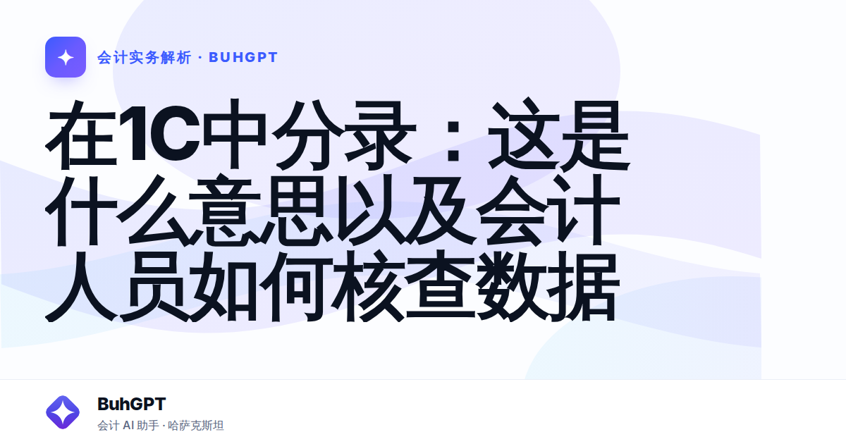 在1C中分录:这是什么意思以及会计人员如何核查数据