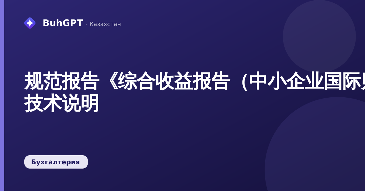 规范报告《综合收益报告（中小企业国际财务报告准则）》— 技术说明