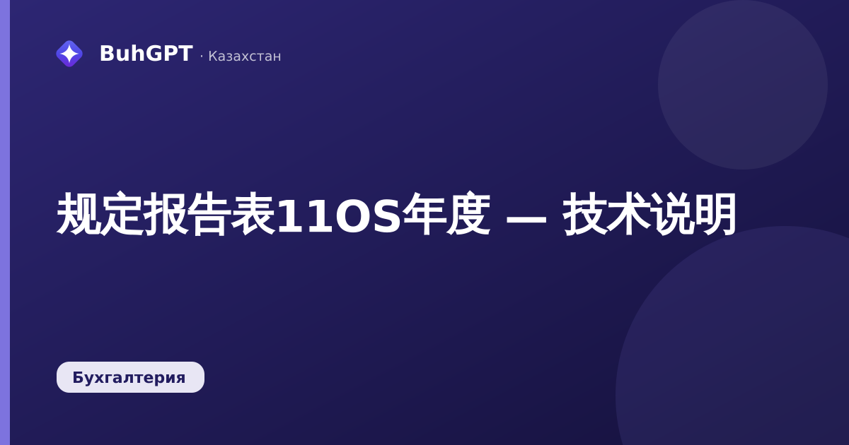 规定报告表11OS年度 — 技术说明