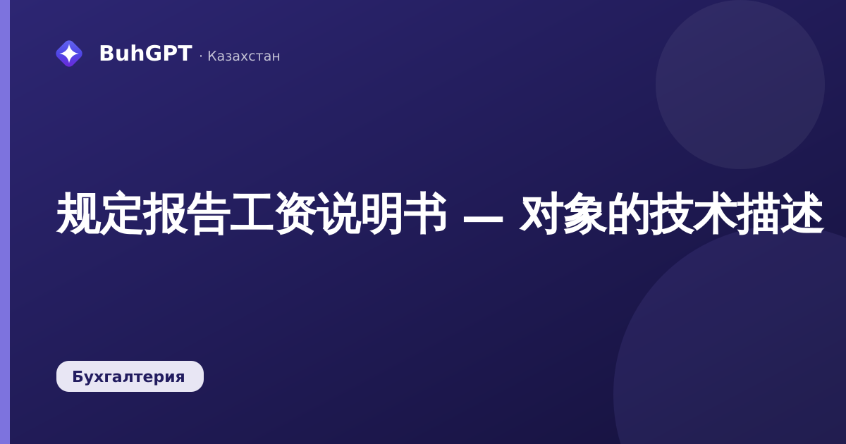 规定报告工资说明书 — 对象的技术描述