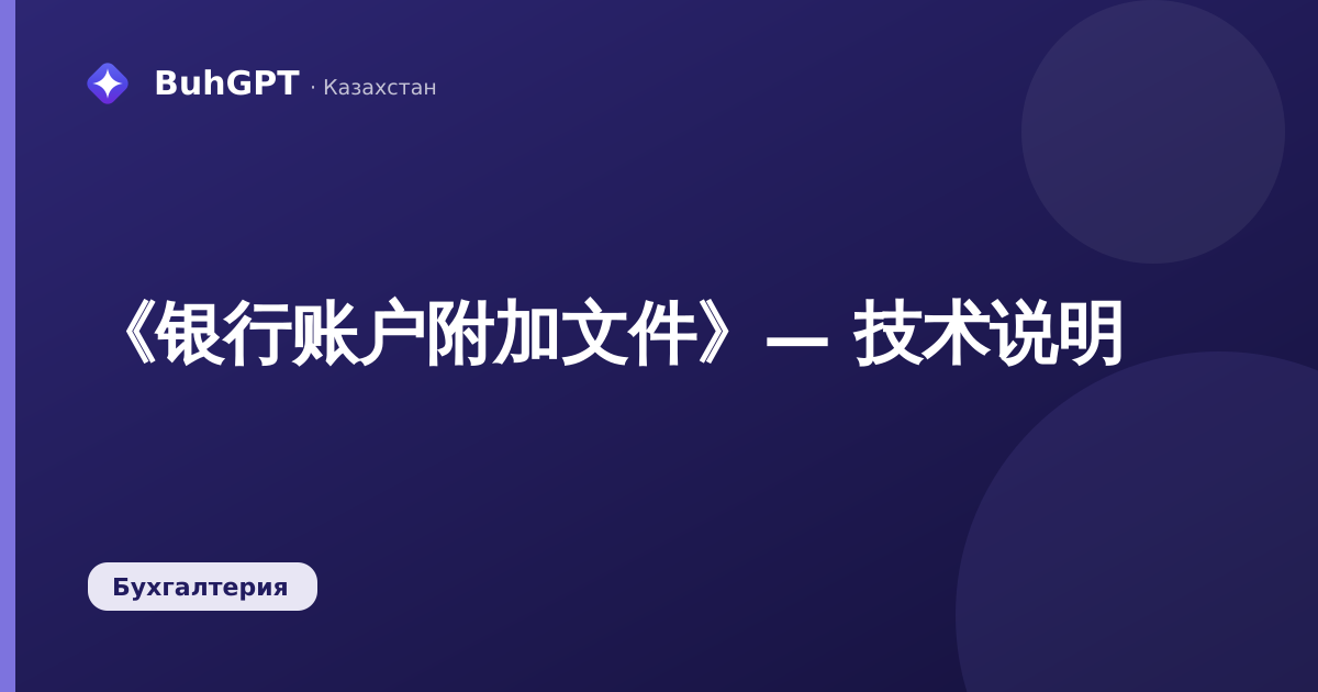 《银行账户附加文件》— 技术说明
