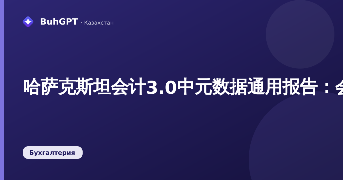 哈萨克斯坦会计3.0中元数据通用报告:会计人员完整操作指南